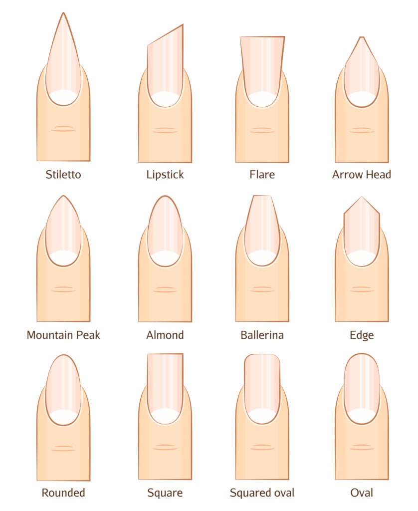 爪の形一覧表